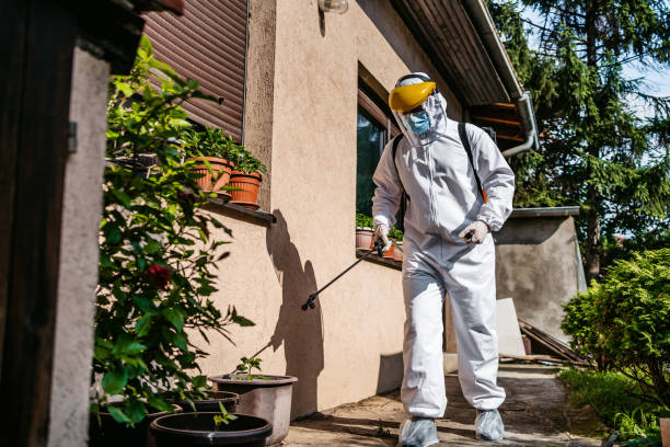 Best Pest Prevention Services  in El Cerro Mission, NM