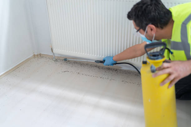 Best Pest Inspection Near Me  in El Cerro Mission, NM